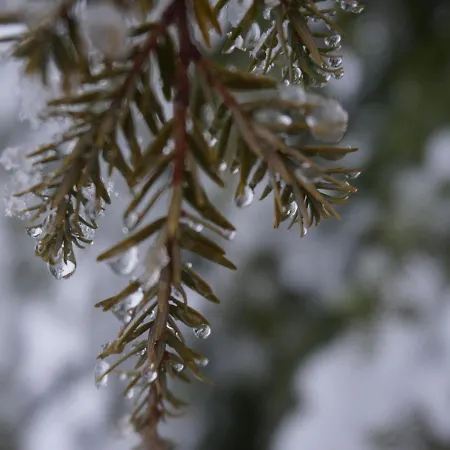 Tatil Evi St Martin Chalets-1 By Interhome *